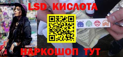 spice Славгород