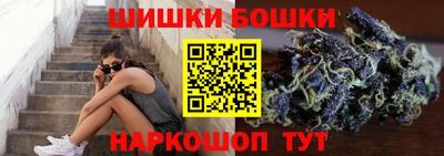 винт Сланцы