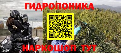 винт Сланцы