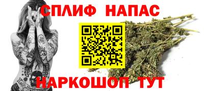 spice Славгород