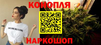 винт Сланцы